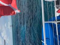 Great day of scuba diving in Key Largo with Rainbow Reef on molasses reef tropical adventure 2016 09 08 r3253 1