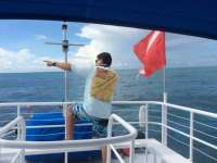 Great day of scuba diving in Key Largo with Rainbow Reef on molasses reef tropical adventure 2016 09 10 r3265 1