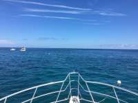 Great day of scuba diving in Key Largo with Rainbow Reef on molasses reef tropical adventure 2016 09 17 r3300 1