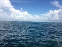 Great day of scuba diving in Key Largo with Rainbow Reef on molasses reef tropical legend 2016 09 05 r3235 1