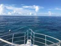 Great day of scuba diving in Key Largo with Rainbow Reef on molasses reef tropical legend 2016 09 22 r3326 1
