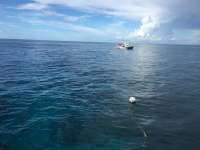 Great day of scuba diving in Key Largo with Rainbow Reef on molasses reef tropical legend 2016 09 24 r3338 1