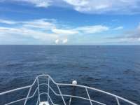 Great day of scuba diving in Key Largo with Rainbow Reef on north star tropical adventure 2016 09 23 r3331 1