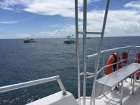Great day of scuba diving in Key Largo with Rainbow Reef on north star tropical legend 2016 09 11 r3269 1
