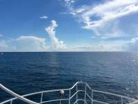 Great day of scuba diving in Key Largo with Rainbow Reef on permit ledges tropical legend 2016 09 21 r3324 1