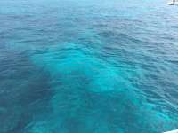 Great day of scuba diving in Key Largo with Rainbow Reef on permit ledges tropical odyssey 2016 09 25 r3350 1