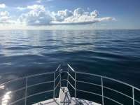 Great day of scuba diving in Key Largo with Rainbow Reef on snapper ledge tropical legend 2016 09 16 r3292 1