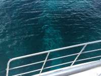Great day of scuba diving in Key Largo with Rainbow Reef on snapper ledge tropical legend 2016 09 23 r3334 1