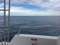 Great day of scuba diving in Key Largo with Rainbow Reef on spanish anchor tropical odyssey 2016 09 26 r3353 1
