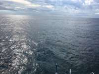 Great day of scuba diving in Key Largo with Rainbow Reef on spiegel grove tropical adventure 2016 09 25 r3346 1