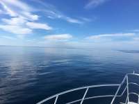 Great day of scuba diving in Key Largo with Rainbow Reef on spiegel grove tropical adventure 2016 09 29 r3365 1