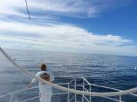 Great day of scuba diving in Key Largo with Rainbow Reef on spiegel grove tropical odyssey 2016 09 20 r3316 1