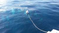 Great day of scuba diving in Key Largo with Rainbow Reef on uscgc bibb tropical odyssey 2016 09 16 r3293 1