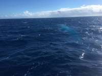 Great day of scuba diving in Key Largo with Rainbow Reef on uscgc duane tropical odyssey 2016 09 09 r3258 1
