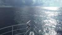 Great day of scuba diving in Key Largo with Rainbow Reef on uscgc duane tropical odyssey 2016 09 12 r3272 1