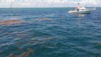 Great day of scuba diving in Key Largo with Rainbow Reef on winch hole tropical odyssey 2016 09 04 r3234 1