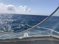 Great day of scuba diving in Key Largo with Rainbow Reef on benwood wreck tropical odyssey 2017 04 28 r4149 1