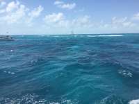 Great day of scuba diving in Key Largo with Rainbow Reef on captains choice tropical explorer 2017 04 05 r4067 1