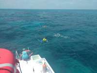 Great day of scuba diving in Key Largo with Rainbow Reef on christ statue tropical odyssey 2017 04 05 r4070 1
