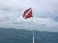 Great day of scuba diving in Key Largo with Rainbow Reef on french reef tropical odyssey 2017 04 21 r4122 1