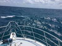 Great day of scuba diving in Key Largo with Rainbow Reef on molasses reef tropical adventure 2017 04 03 r4063 1