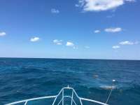 Great day of scuba diving in Key Largo with Rainbow Reef on molasses reef tropical adventure 2017 04 09 r4096 1