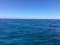Great day of scuba diving in Key Largo with Rainbow Reef on molasses reef tropical explorer 2017 04 07 r4084 1