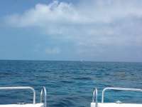 Great day of scuba diving in Key Largo with Rainbow Reef on molasses reef tropical explorer 2017 04 27 r4142 1