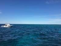 Great day of scuba diving in Key Largo with Rainbow Reef on molasses reef tropical legend 2017 04 08 r4085 1