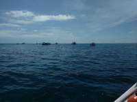 Great day of scuba diving in Key Largo with Rainbow Reef on molasses reef tropical legend 2017 04 08 r4088 1