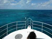 Great day of scuba diving in Key Largo with Rainbow Reef on molasses reef tropical legend 2017 04 13 r4106 1