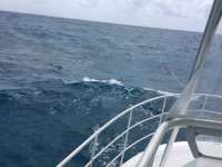Great day of scuba diving in Key Largo with Rainbow Reef on molasses reef tropical legend 2017 04 17 r4114 1