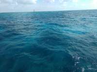 Great day of scuba diving in Key Largo with Rainbow Reef on spanish anchor tropical adventure 2017 04 19 r4116 1
