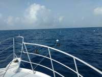 Great day of scuba diving in Key Largo with Rainbow Reef on spiegel grove tropical adventure 2017 04 06 r4075 1