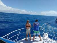 Great day of scuba diving in Key Largo with Rainbow Reef on spiegel grove tropical adventure 2017 04 23 r4124 1