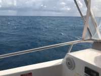 Great day of scuba diving in Key Largo with Rainbow Reef on spiegel grove tropical odyssey 2017 04 11 r4099 1