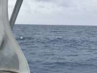 Great day of scuba diving in Key Largo with Rainbow Reef on spiegel grove tropical odyssey 2017 04 17 r4113 1