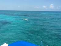 Great day of scuba diving in Key Largo with Rainbow Reef on student classes trip tropical adventure 2017 04 27 r4141 1