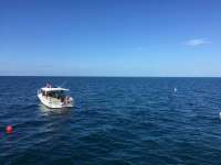 Great day of scuba diving in Key Largo with Rainbow Reef on benwood wreck tropical voyager 2017 08 02 r4573 1