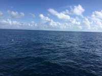 Great day of scuba diving in Key Largo with Rainbow Reef on christmastree cave tropical legend 2017 08 22 r4674 1