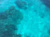 Great day of scuba diving in Key Largo with Rainbow Reef on eagle ray alley tropical adventure 2017 08 11 r4618 1