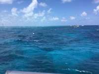 Great day of scuba diving in Key Largo with Rainbow Reef on fire coral cave tropical legend 2017 08 06 r4589 1