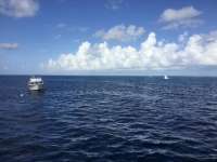 Great day of scuba diving in Key Largo with Rainbow Reef on fire coral cave tropical legend 2017 08 17 r4646 1
