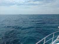 Great day of scuba diving in Key Largo with Rainbow Reef on french reef tropical legend 2017 08 01 r4568 1