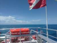 Great day of scuba diving in Key Largo with Rainbow Reef on french reef tropical legend 2017 08 16 r4644 1