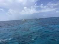 Great day of scuba diving in Key Largo with Rainbow Reef on french reef tropical voyager 2017 08 20 r4670 1