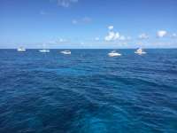 Great day of scuba diving in Key Largo with Rainbow Reef on hole in the wall tropical odyssey 2017 08 14 r4633 1