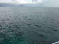 Great day of scuba diving in Key Largo with Rainbow Reef on minnow cave tropical legend 2017 08 23 r4679 1