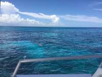 Great day of scuba diving in Key Largo with Rainbow Reef on north dry rocks tropical legend 2017 08 13 r4630 1