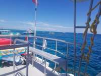 Great day of scuba diving in Key Largo with Rainbow Reef on permit ledges tropical odyssey 2017 08 14 r4634 1